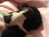 Enlarge photo 2