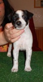 Enlarge photo 5
