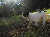 Enlarge photo 12