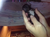 Enlarge photo 14