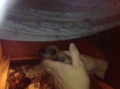 Enlarge photo 8