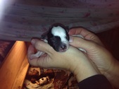 Enlarge photo 7