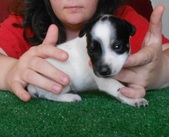 Enlarge photo 17