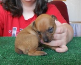 Enlarge photo 15