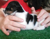Enlarge photo 10