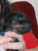 Enlarge photo 2