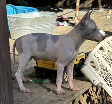 Enlarge photo 5