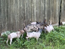 Enlarge photo 12