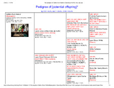 Enlarge PDF 8