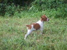 Enlarge photo 13