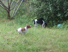 Enlarge photo 9