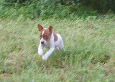 Enlarge photo 10