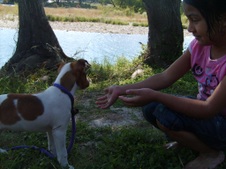 Enlarge photo 13