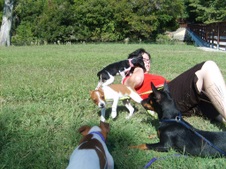 Enlarge photo 11