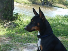 Enlarge photo 19