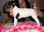 Enlarge photo 16