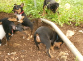 Enlarge photo 4