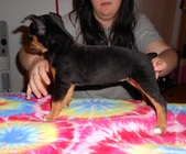 Enlarge photo 11