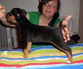 Enlarge photo 15