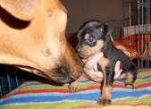 Enlarge photo 19