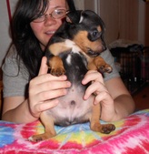 Enlarge photo 6
