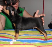 Enlarge photo 11