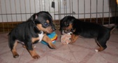 Enlarge photo 14