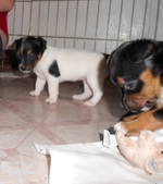 Enlarge photo 15