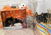 Enlarge photo 4