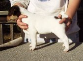 Enlarge photo 5