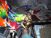 Enlarge photo 19