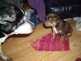 Enlarge photo 14