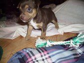 Enlarge photo 11