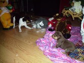 Enlarge photo 22