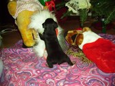 Enlarge photo 16
