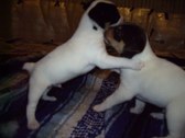Enlarge photo 8