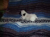 Enlarge photo 23