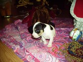 Enlarge photo 12