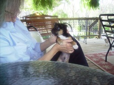 Enlarge photo 8