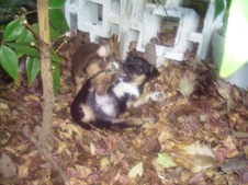 Enlarge photo 14