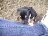 Enlarge photo 12