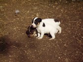 Enlarge photo 17