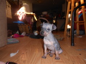 Enlarge photo 13