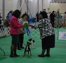 Enlarge photo 5