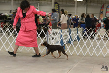 Enlarge photo 13