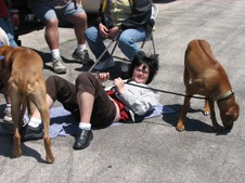 Enlarge photo 13