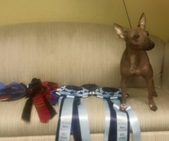 Enlarge photo 2