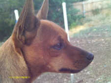 Enlarge photo 12