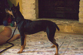 Enlarge photo 14