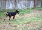 Enlarge photo 3